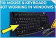 Mouse and keyboard not working in Ubuntu 22.04
